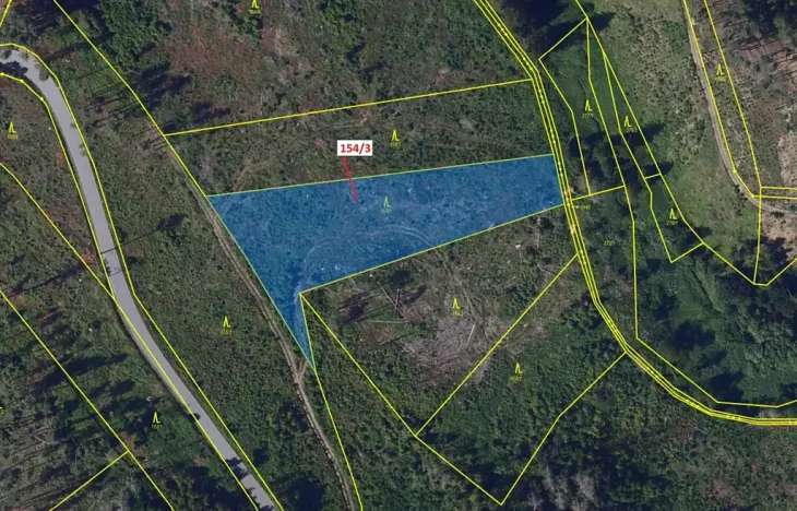 Dražba lesa, Žižkovo Pole, 5060 m2