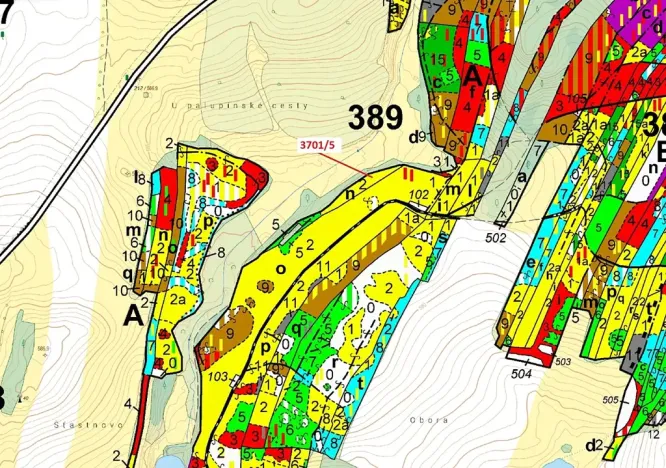 Dražba lesa, Strmilov, 3866 m2
