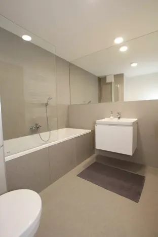 Pronájem bytu 2+kk, Praha - Libeň, Davídkova, 42 m2