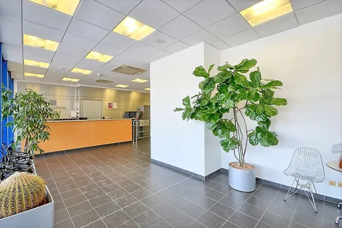 Pronájem kanceláře, Praha - Chodov, Hráského, 300 m2