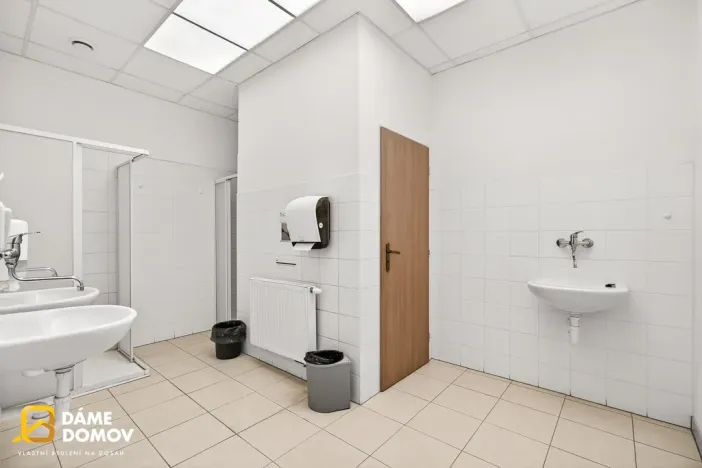 Pronájem skladu, Uherské Hradiště - Vésky, Zámostí, 482 m2