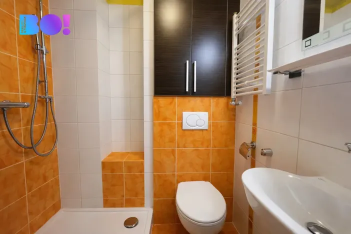 Pronájem bytu 1+kk, Ostrava, Krakovská, 20 m2