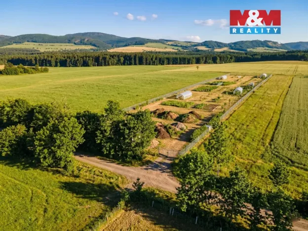 Prodej komerčního pozemku, Králíky - Dolní Boříkovice, 8432 m2
