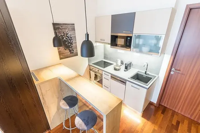 Pronájem bytu 1+kk, Praha - Nusle, Sekaninova, 31 m2