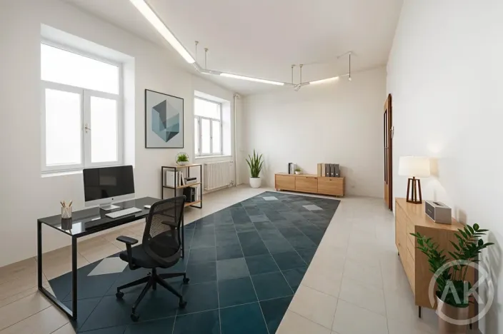 Pronájem kanceláře, Ostrava - Přívoz, Libušina, 22 m2