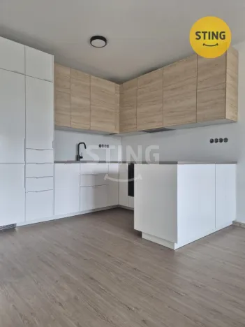 Pronájem bytu 2+kk, Bílov, 59 m2