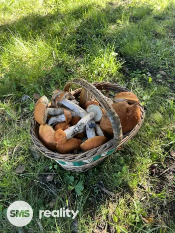 Prodej chaty, Staré Hamry, 120 m2