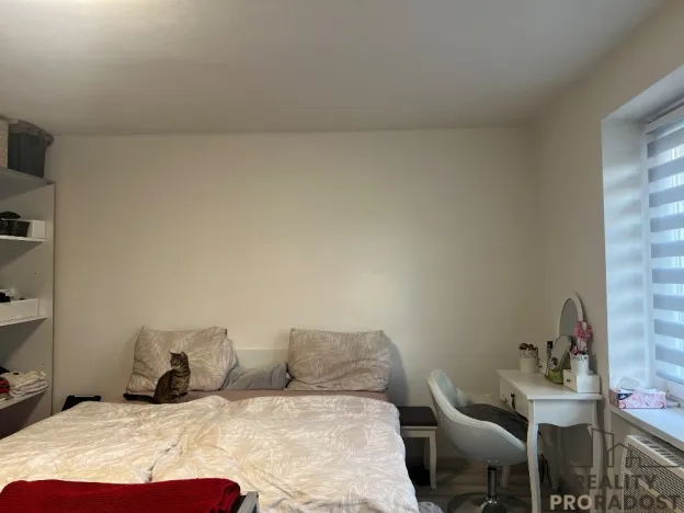 Pronájem bytu 1+1, Ústí nad Labem, Bratislavská, 38 m2