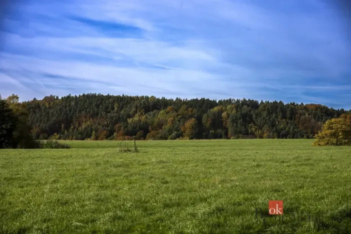 Prodej pozemku pro bydlení, Křižany, 1506 m2