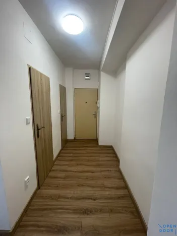 Pronájem bytu 2+1, Jirkov, Ervěnická, 52 m2