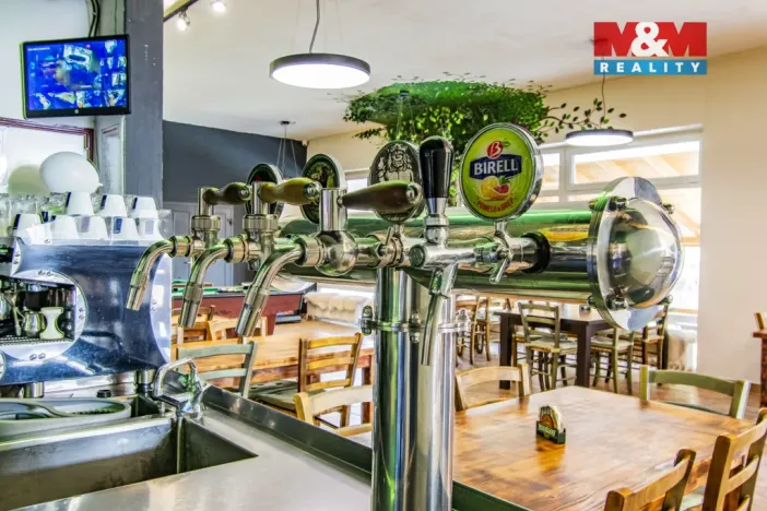 Prodej restaurace, Slezské Rudoltice, 360 m2