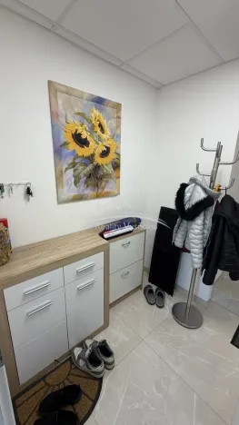 Pronájem bytu 3+kk, Havlíčkův Brod, Gočárova, 79 m2