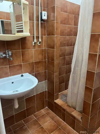 Pronájem bytu 1+1, Ústí nad Labem, Horova, 56 m2