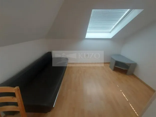 Pronájem bytu 4+kk, Praha, U zeleného ptáka, 113 m2
