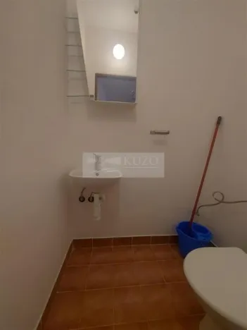 Pronájem bytu 4+kk, Praha, U zeleného ptáka, 113 m2