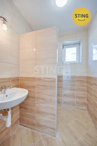 Prodej chalupy, Strachotín, Šakvická, 270 m2