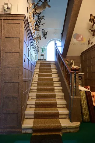 Prodej rodinného domu, Domašov nad Bystřicí, Nádražní, 640 m2