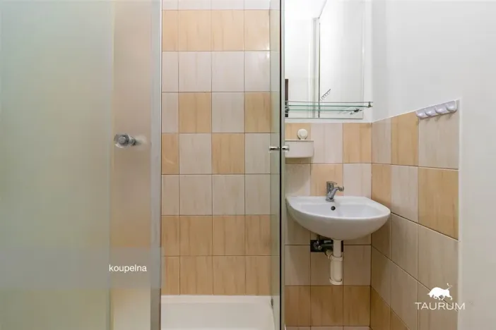 Prodej bytu 1+1, Praha - Libeň, V zahradách, 29 m2