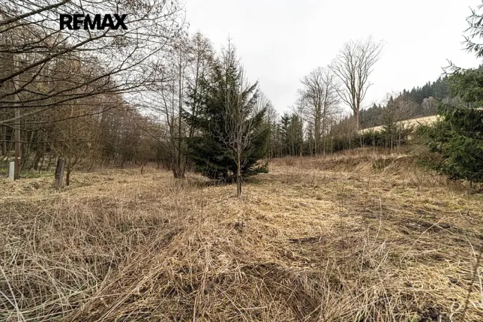 Prodej pozemku pro bydlení, Červená Voda, 1100 m2