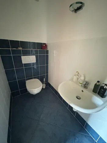 Pronájem rodinného domu, Písek, V Lukách, 400 m2