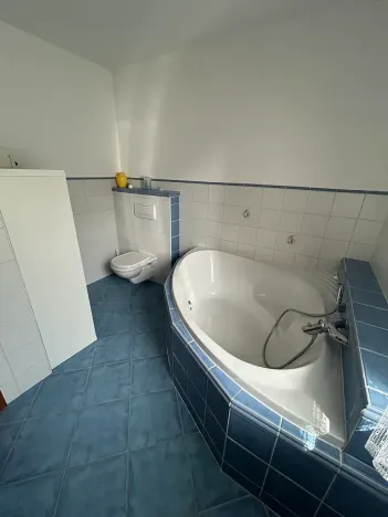 Pronájem rodinného domu, Písek, V Lukách, 400 m2