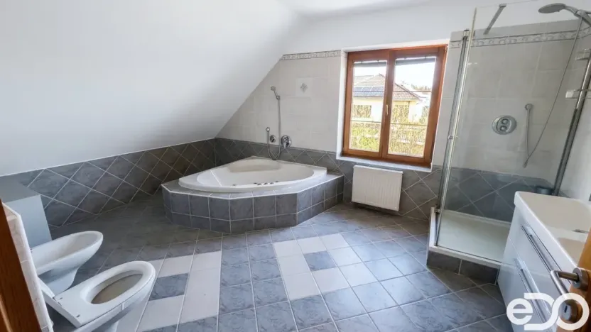 Pronájem rodinného domu, Nedabyle, 229 m2