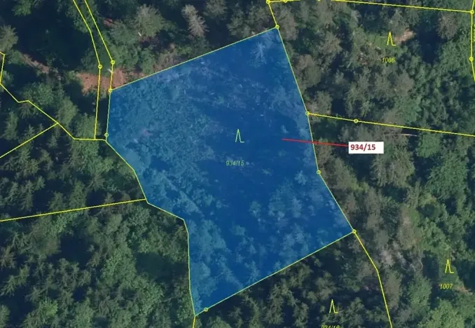 Dražba lesa, Jílové u Držkova, 3821 m2