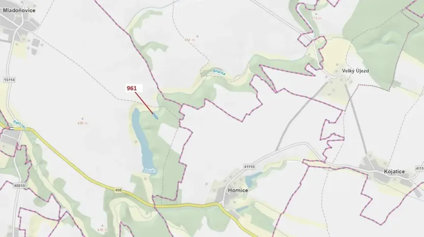 Dražba lesa, Mladoňovice, 961 m2