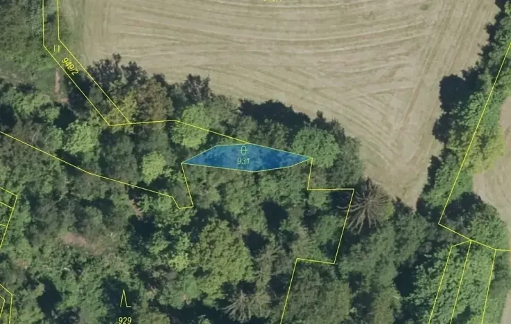 Dražba pozemku, Zálezly, 126 m2