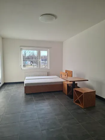 Pronájem bytu 1+kk, Praha, Pod altánem, 44 m2