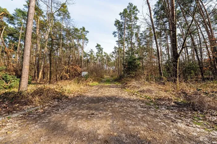 Prodej pozemku pro bydlení, Hradištko, Kersko, 4428 m2