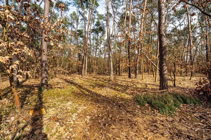 Prodej pozemku pro bydlení, Hradištko, Kersko, 4428 m2