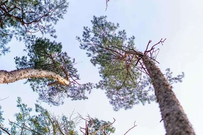 Prodej pozemku pro bydlení, Hradištko, Kersko, 4428 m2