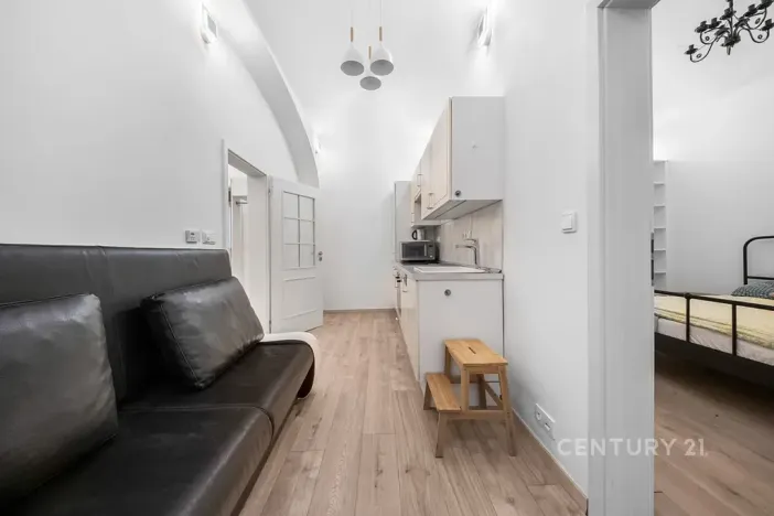 Pronájem bytu 1+1, Praha - Nové Město, Truhlářská, 38 m2