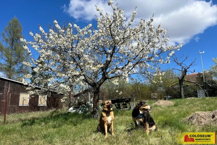 Prodej zahrady, Ostopovice, 409 m2