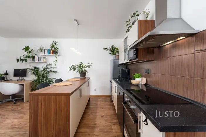 Prodej bytu 1+kk, České Budějovice - České Budějovice 2, Husova tř., 36 m2