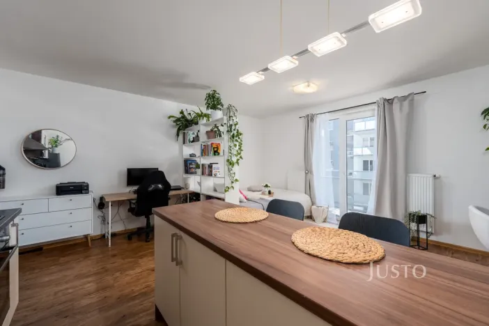 Prodej bytu 1+kk, České Budějovice - České Budějovice 2, Husova tř., 36 m2