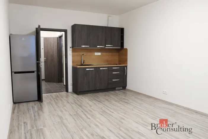 Pronájem bytu 1+kk, Plzeň - Jižní Předměstí, Nemocniční, 30 m2