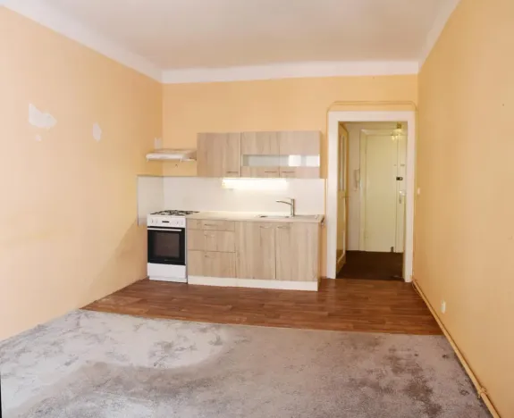 Prodej bytu 2+kk, Praha - Žižkov, Žerotínova, 40 m2