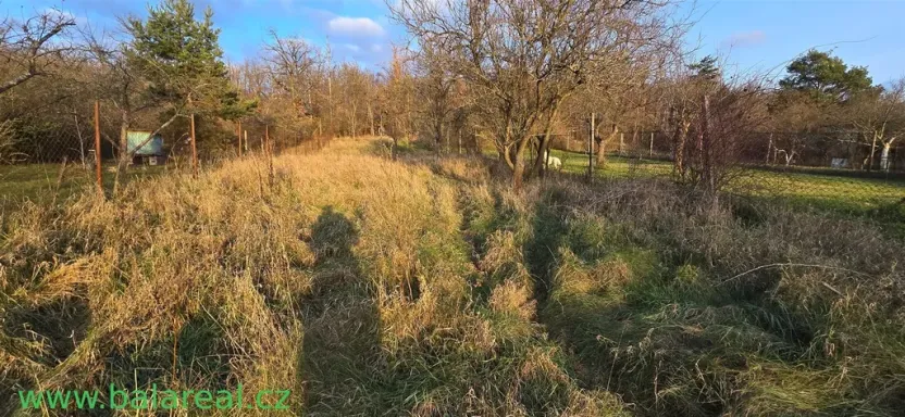 Pronájem zahrady, Brno, Podhájí, 1359 m2