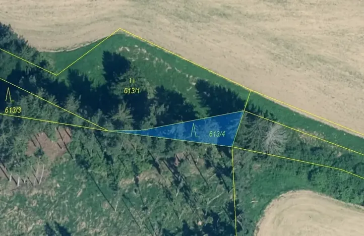 Dražba lesa, Záboří, 185 m2