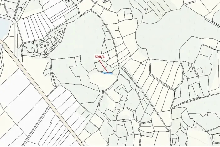 Dražba louky, Zavlekov, 272 m2