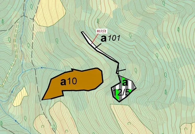 Dražba lesa, Zubrnice, 815 m2