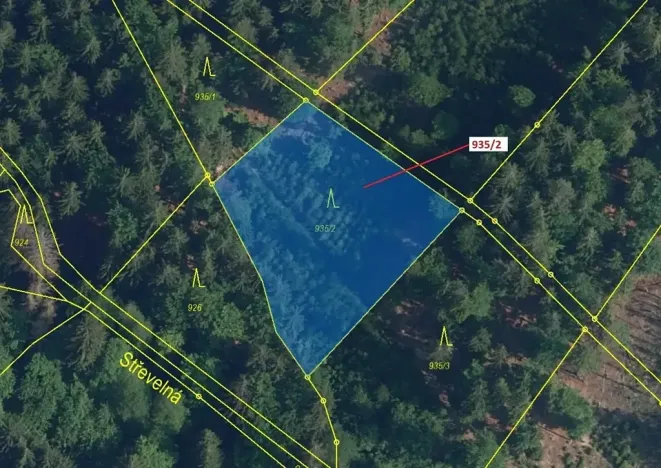 Dražba lesa, Jílové u Držkova, 1684 m2