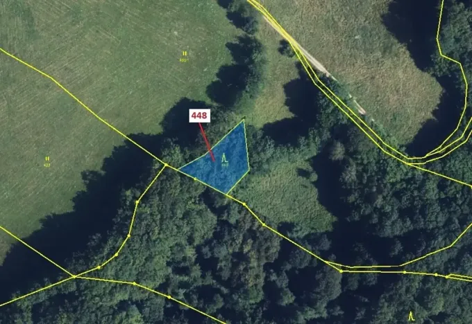 Dražba lesa, Městečko Trnávka, 586 m2