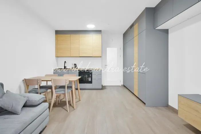 Pronájem bytu 1+kk, Praha - Vysočany, Kabešova, 32 m2