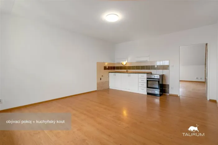 Prodej bytu 2+kk, Plzeň - Jižní Předměstí, Karlova, 51 m2