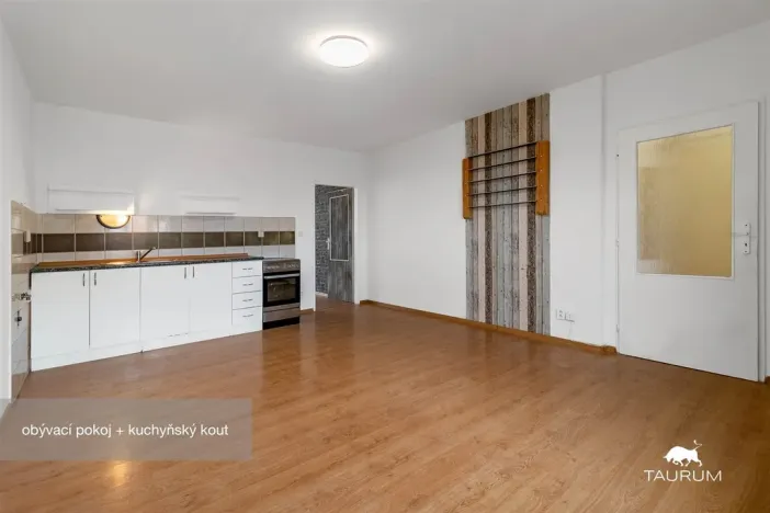 Prodej bytu 2+kk, Plzeň - Jižní Předměstí, Karlova, 51 m2