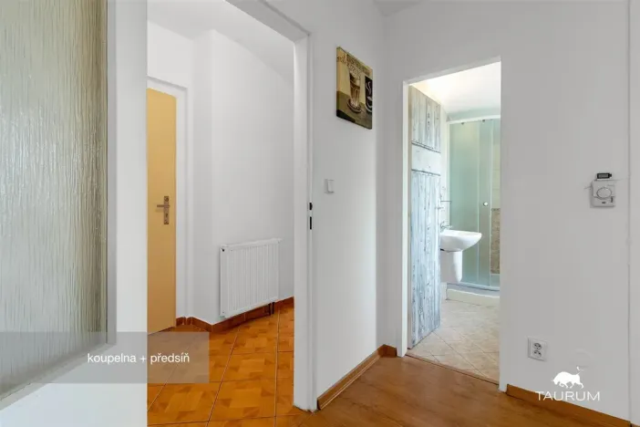 Prodej bytu 2+kk, Plzeň - Jižní Předměstí, Karlova, 51 m2