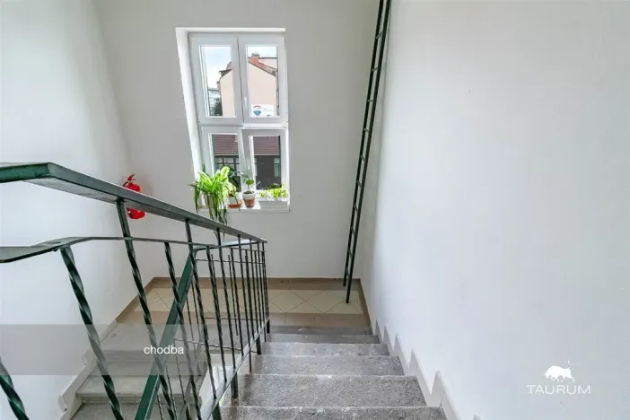 Prodej bytu 2+kk, Plzeň - Jižní Předměstí, Karlova, 51 m2